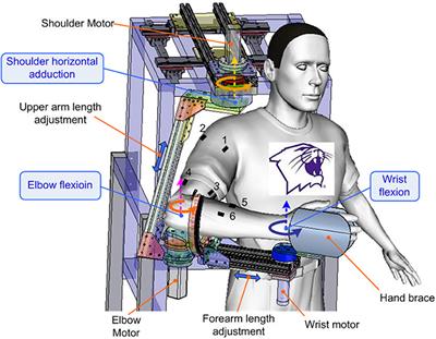 EMG-Based Continuous and Simultaneous Estimation of Arm Kinematics in Able-Bodied Individuals and Stroke Survivors